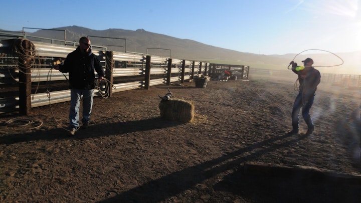 Among Horses and Men, documentary 70 min -