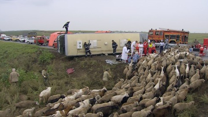 Co-directing works of Aernout Mik -