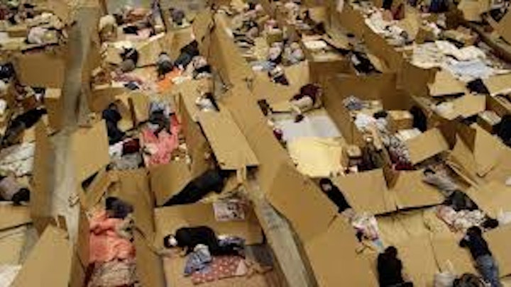 Co-directing works of Aernout Mik -