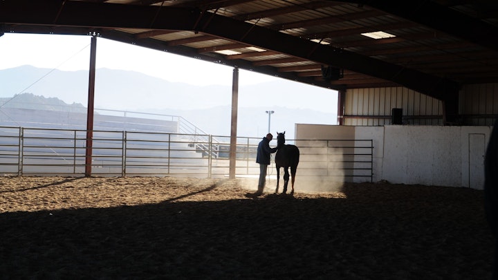 Among Horses and Men, documentary 70 min -