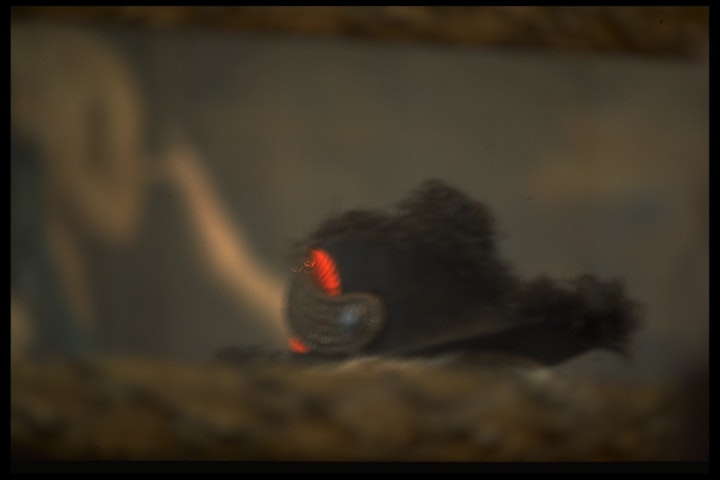 COMMEMORATE: Commissioned by the Province of Groningen -