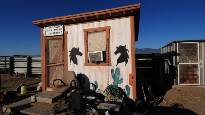 Among Horses and Men, documentary 70 min -