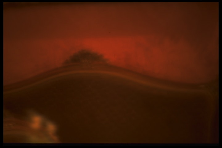 COMMEMORATE: Commissioned by the Province of Groningen -