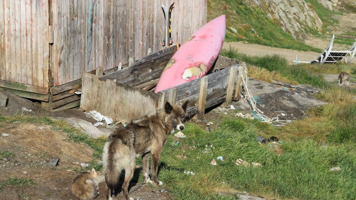Greenland.......... -
