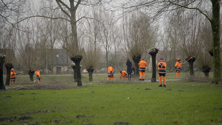The Green Code, about the impasse of wanting to move forward, but not being able to.                                                    special selection NFF, Nederlandse filmdagen 2022 -