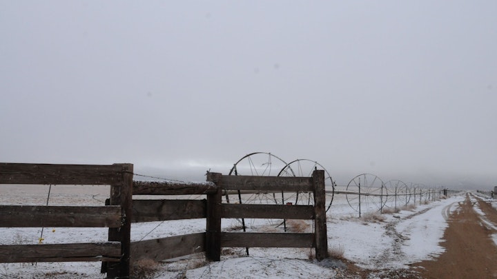 Among Horses and Men, documentary 70 min -