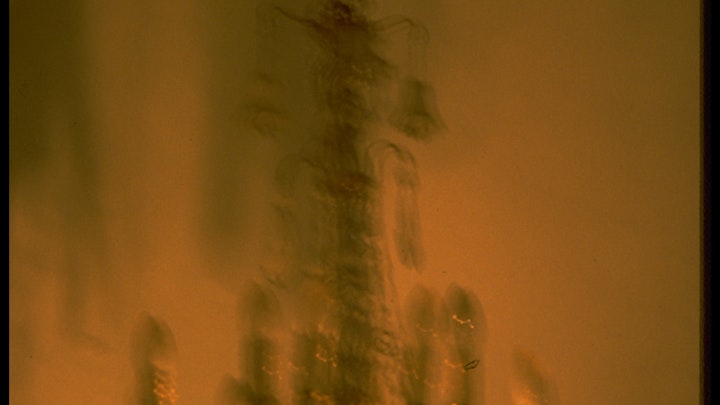 monoloque interieur 1, exhibition -