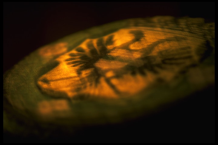 COMMEMORATE: Commissioned by the Province of Groningen -