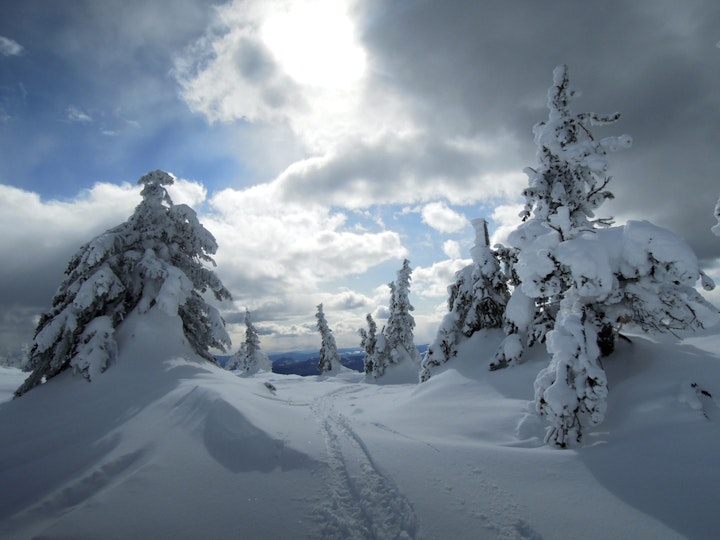 Great outdoors - Big White, Canada