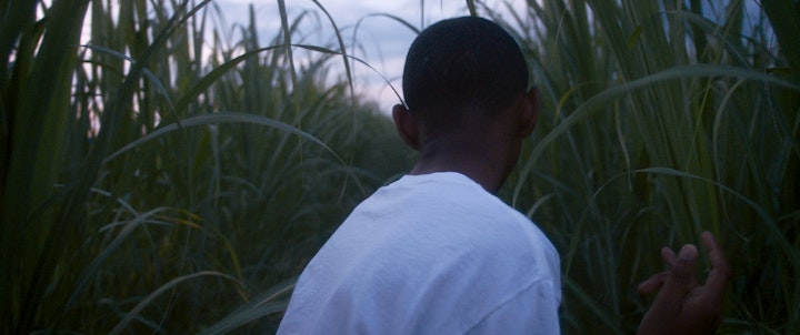 Suicideyear | Flood -