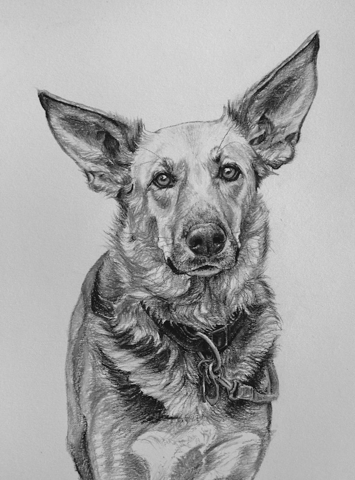 Charcoal Studies Amy Little Art charcoal-studies-amy-little-art