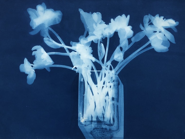 Vase With Dying Tulips, cyanotype photogram on Twin Rocker paper, 15x22 inches (#266)