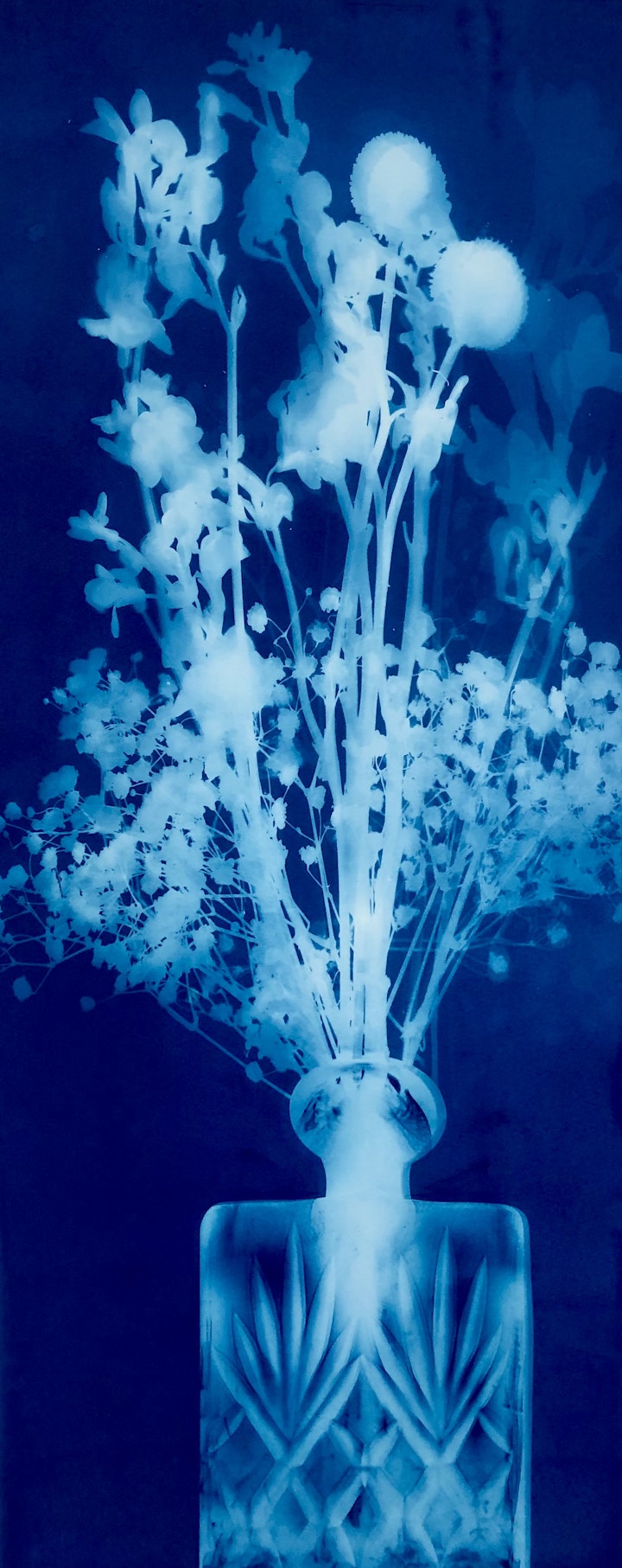 Cut Vase with Cut Flowers, cyanotype photogram on Twin Rocker paper, 22x9 inches (#274)