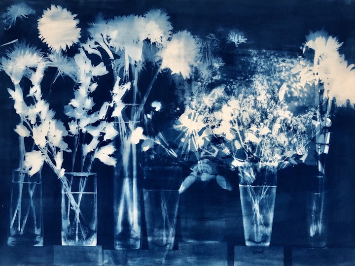 With Cushion Flowers, cyanotype photogram on Revere Platine paper, 30x44 inches (#227)