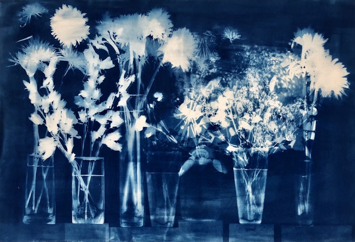 With Cushion Flowers, cyanotype photogram on Revere Platine paper, 30x44 inches (#227)
