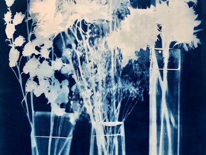 With Tall Vase of Sunflowers, cyanotype photogram on Revere Plat paper, 30x22 inches (#243)