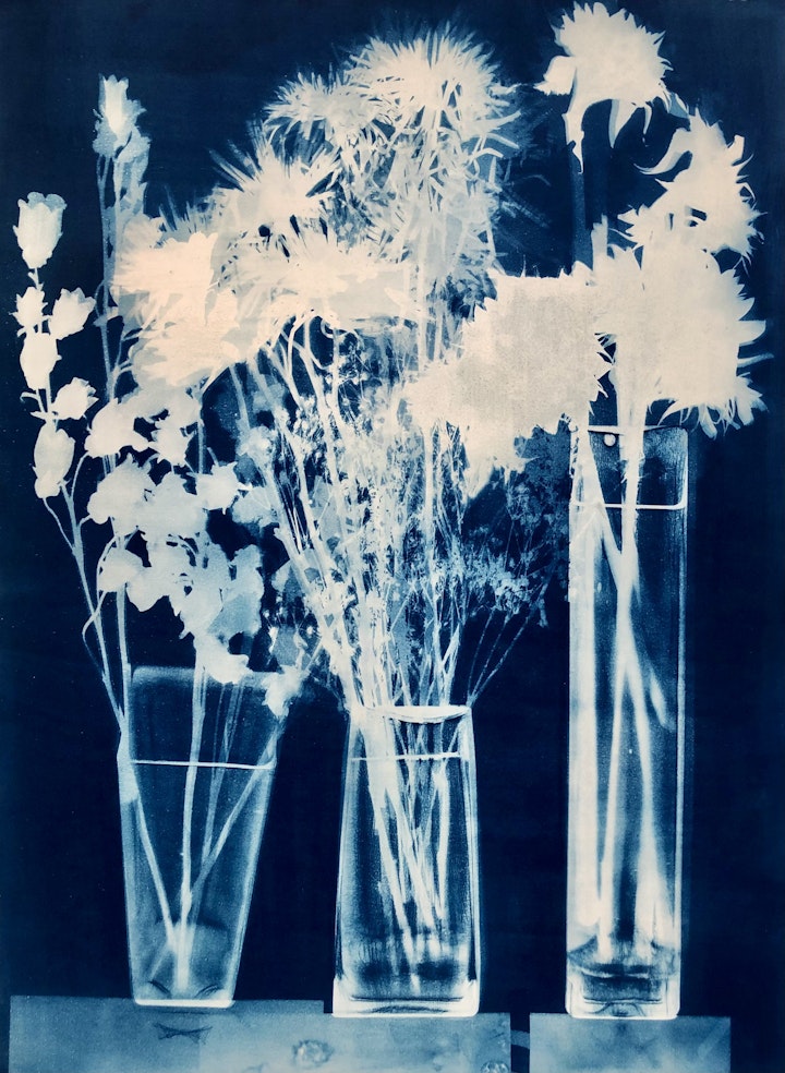 With Tall Vase of Sunflowers, cyanotype photogram on Revere Plat paper, 30x22 inches (#243)
