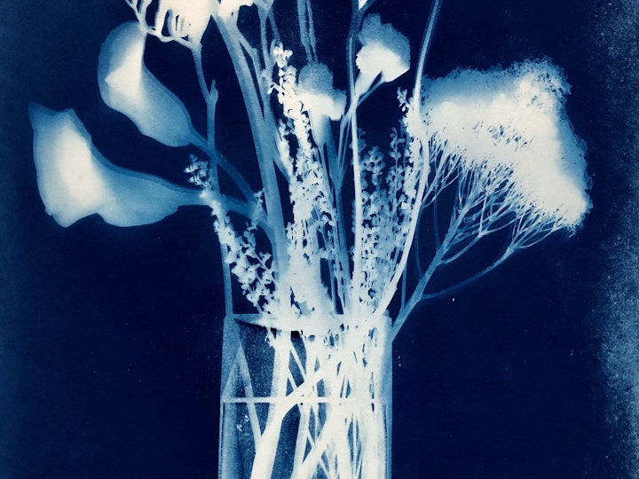 With Freesia, cyanotype photogram on Twin Rocker handmade paper, 22x15 inches (#268)