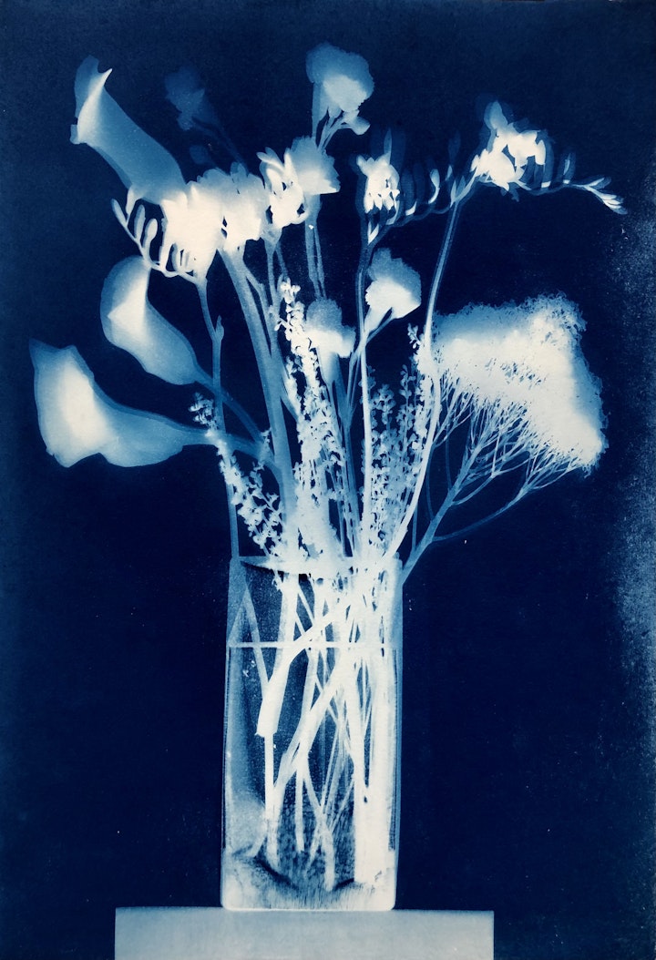 With Freesia, cyanotype photogram on Twin Rocker handmade paper, 22x15 inches (#268)