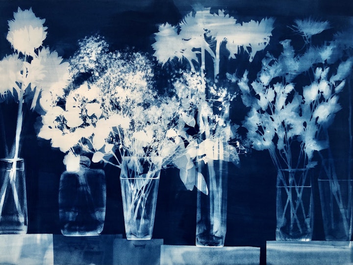 With Eucalyptus, cyanotype photogram on Revere Platinum paper, 30x44 inches (#225)