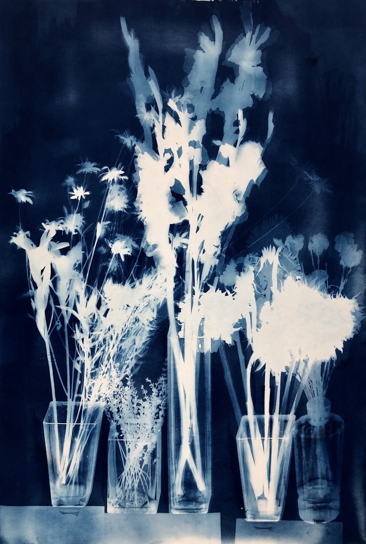 With Black Eyed Susans from the Yard, cyanotype photogram on Revere Platinum Paper, 44x30 inches (#209)