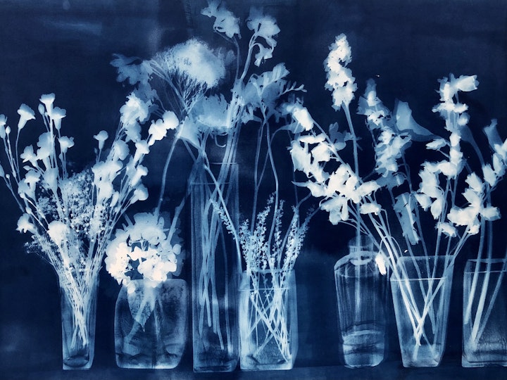 With Calla Lilies, cyanotype photogram on Revere Platinum paper,  30x44 inches (#223)