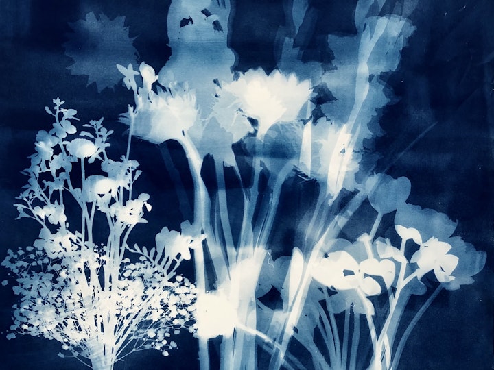 With Tulips, cyanotype photogram on Revere Platinum paper, 44x30 inches