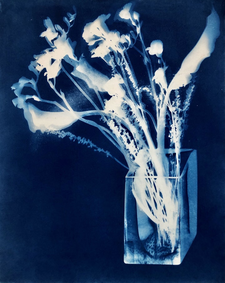 Vase with Calla Lilies, cyanotype photogram on Twin Rocker paper, 20x16 inches (#264)