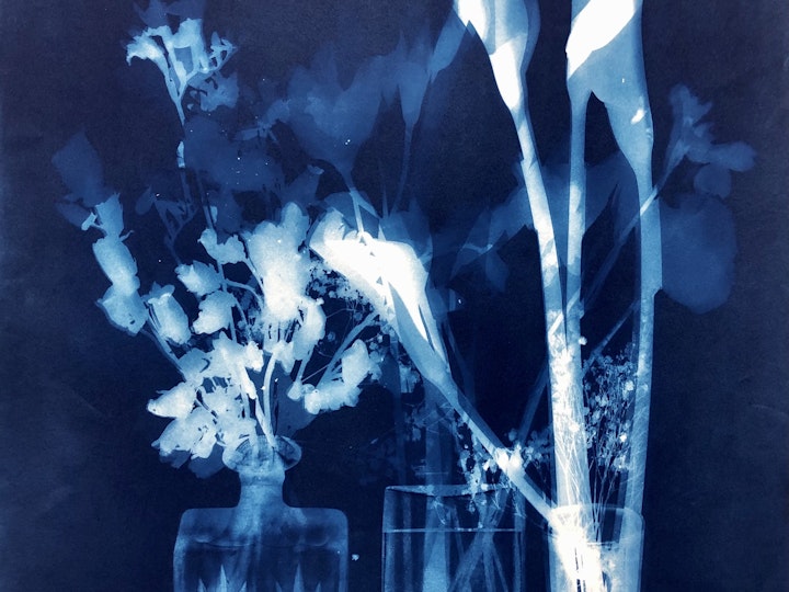 With Asiatic Lilies, cyanotype photogram on Arches Platine paper, 30x22 inches (#246)