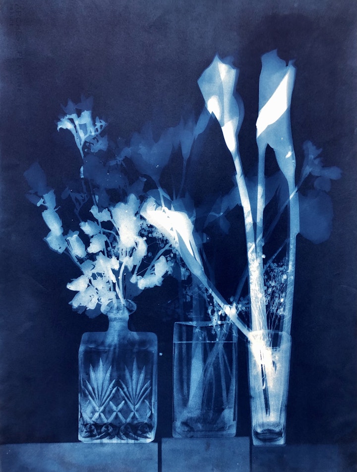 With Asiatic Lilies, cyanotype photogram on Arches Platine paper, 30x22 inches (#246)