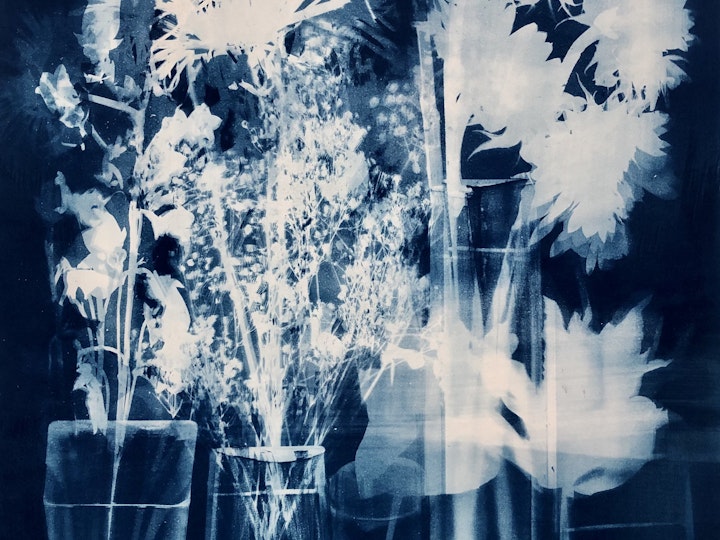 With Sunflowers, cyanotype photogram on Revere Platinum paper, 30x22 inches (#243)