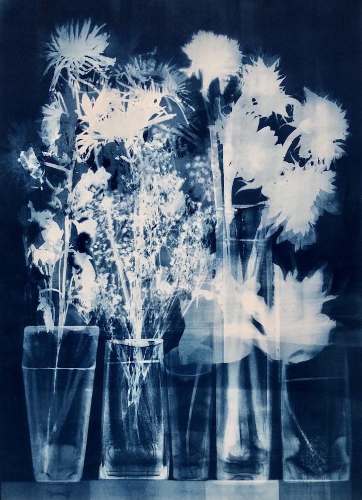 With Sunflowers, cyanotype photogram on Revere Platinum paper, 30x22 inches (#243)