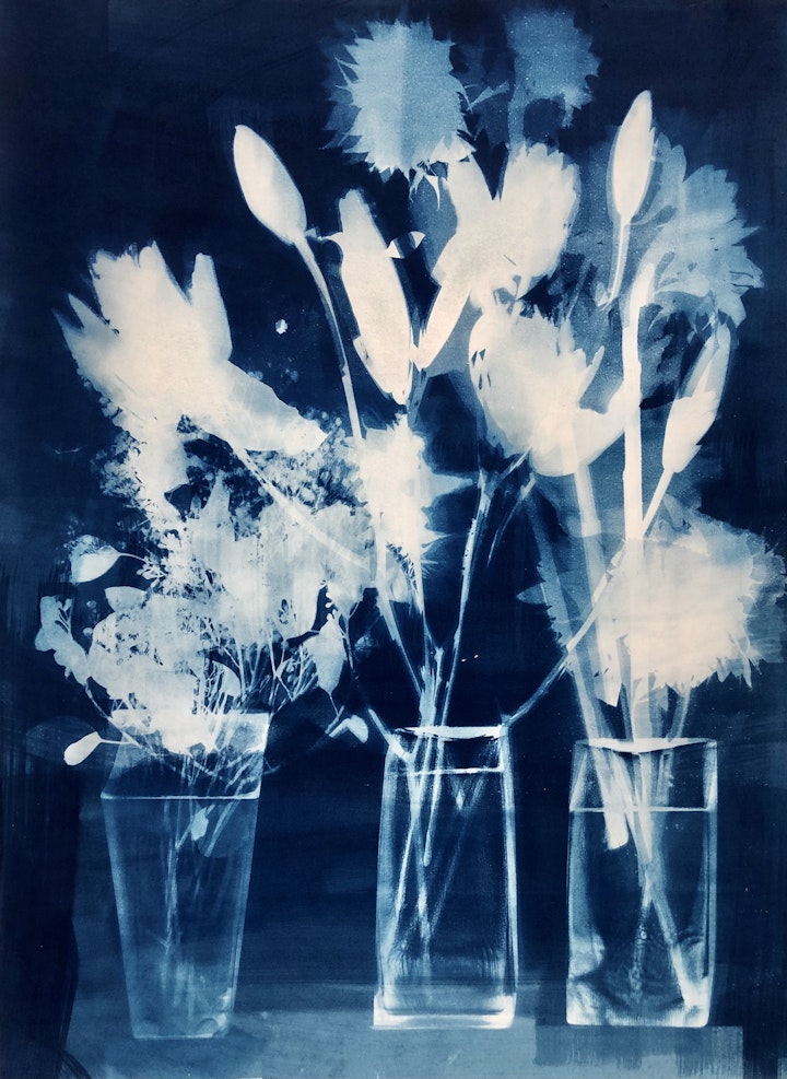 With Lily Buds, cyanotype photogram on Revere Platinum, 30x22 inches (#231)