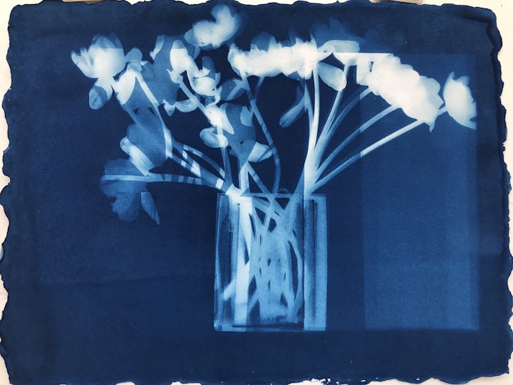 Vase With Tulips Just Before Petals Fall,  cyanotype photogram on Twin Rocker paper, 16.5x21.5 inches (#262)