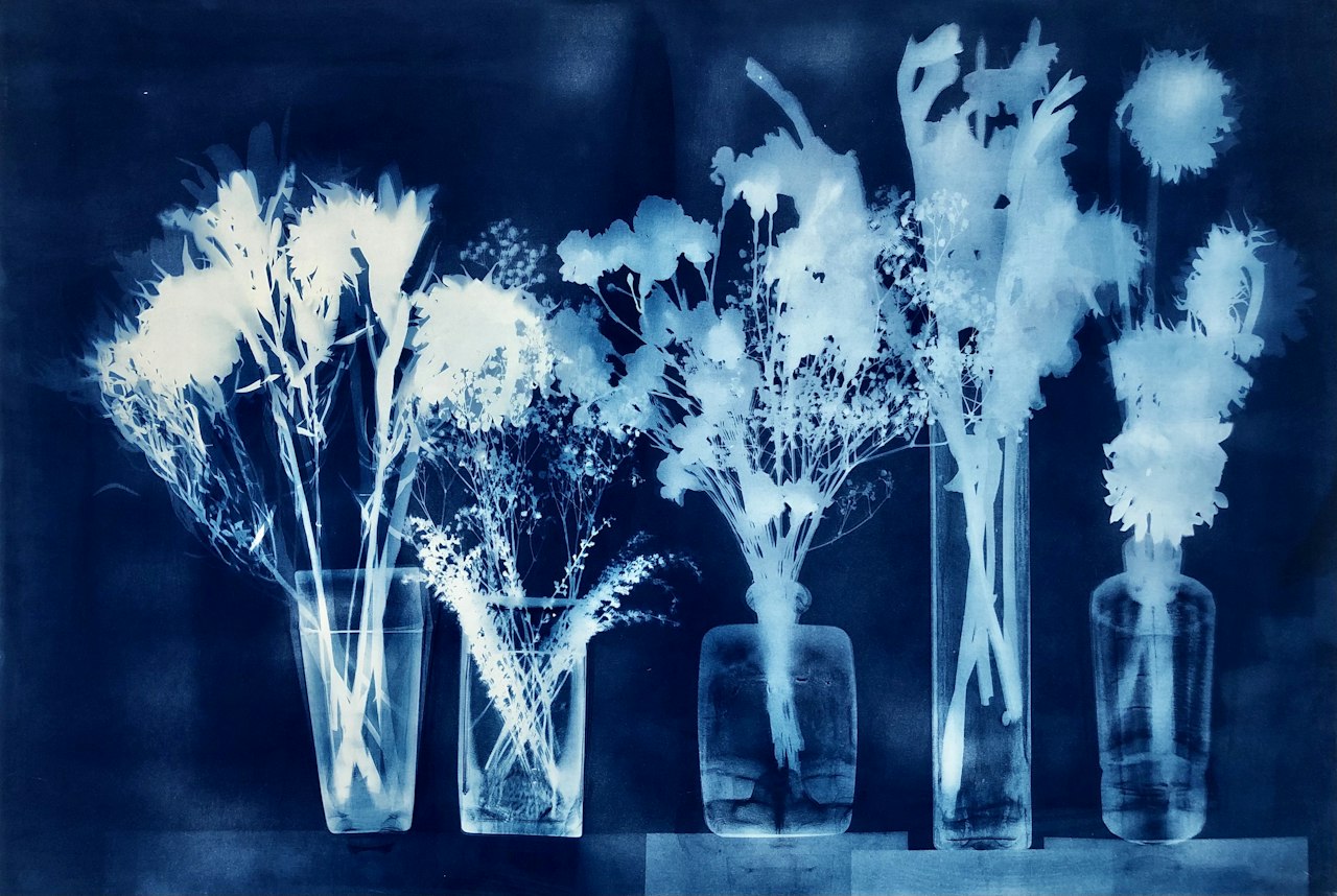Cyanotype Ruth Hamill Cyanotype Ruth Hamill