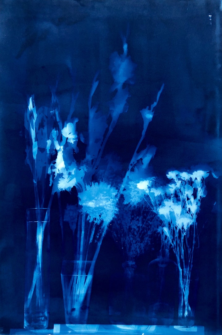 With Tiny Carnations, cyanotype photogram on Arches Platine, 44x30 inches (#208)