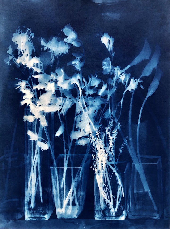 With Campanella and Freesia, cyanotype photogram on Arches Platine paper, 30x22 inches, (#247)