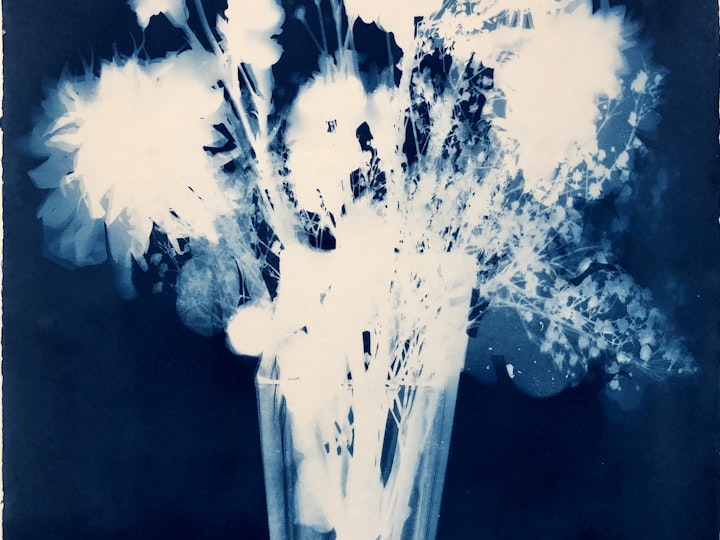 With Buds, cyanotype photogram on Twin Rocker paper, 20x16 inches (#277)