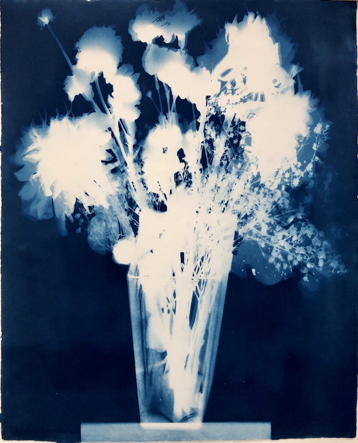 With Buds, cyanotype photogram on Twin Rocker paper, 20x16 inches (#277)