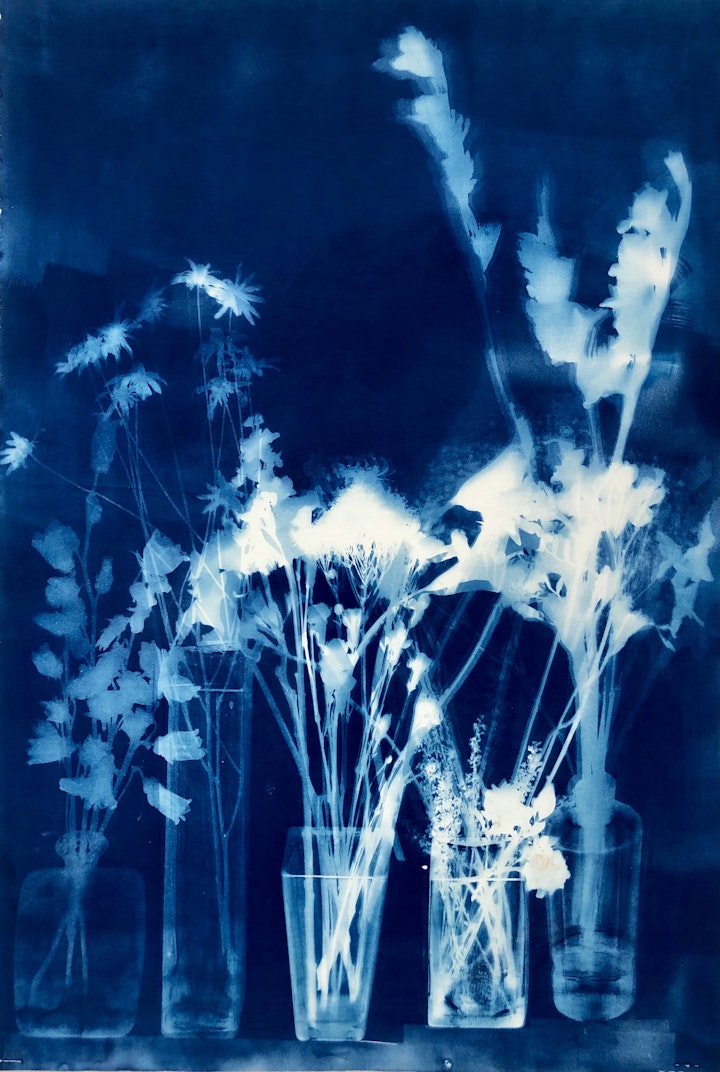 With Gardenia, cyanotype photogram on Revere Platinum paper, 44x30 inches (#213)