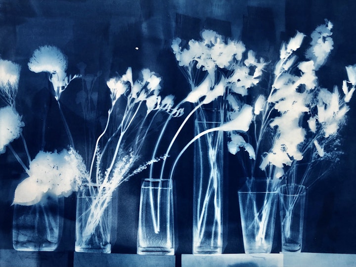 With Heather, cyanotype photogram on Revere platinum paper, 44x30 inches (#218)