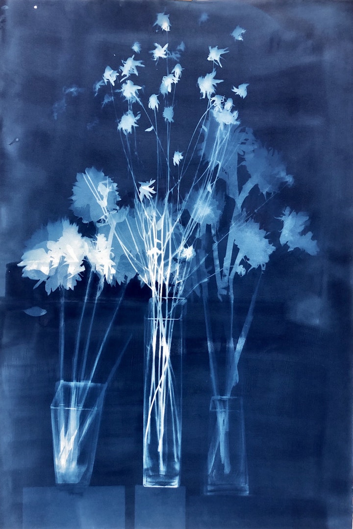 With Flying Yard Flowers, cyanotype photogram on Revere Platinum paper, 44x30 inches, (#210)