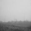 mist - M25, near Theydon Bois. Hasselblad 501C , 150mm f/4 , Portra 400