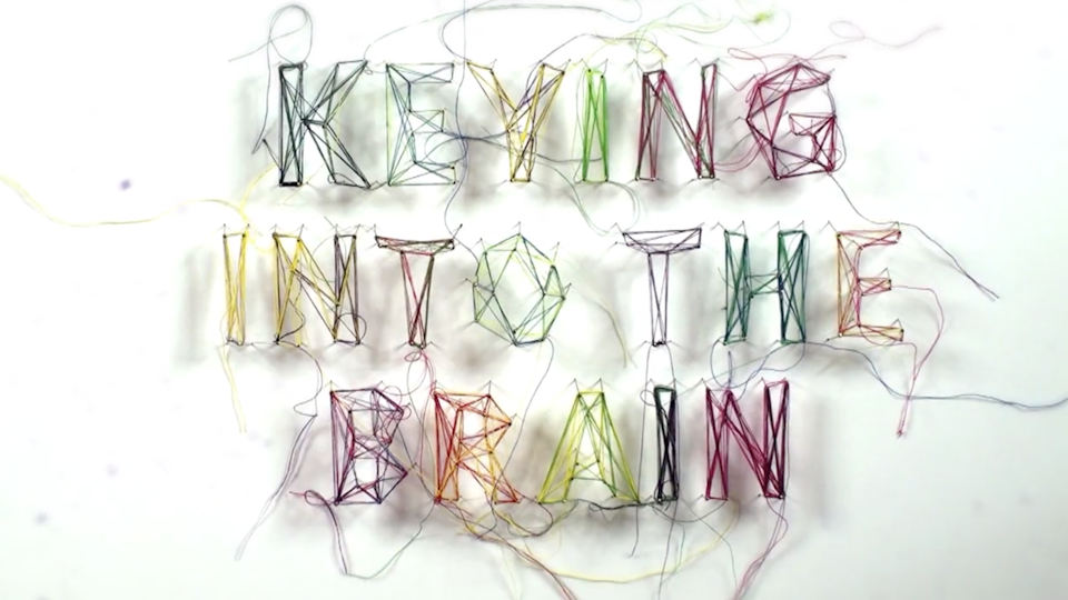 Keying into the brain festival