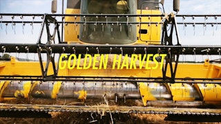 iGolden Harvest from my iPhone