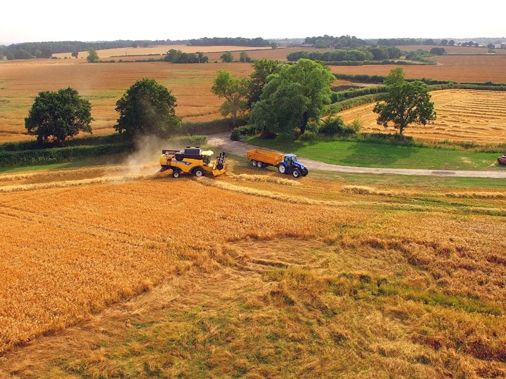 Golden Harvest 2015