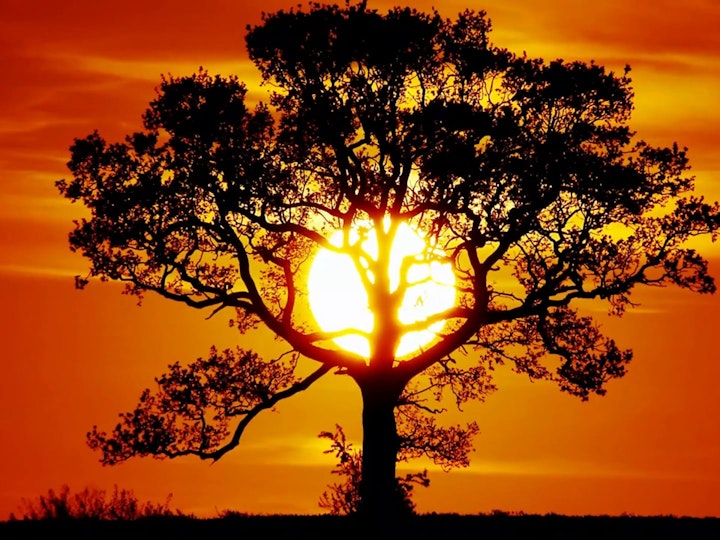 Sunset III