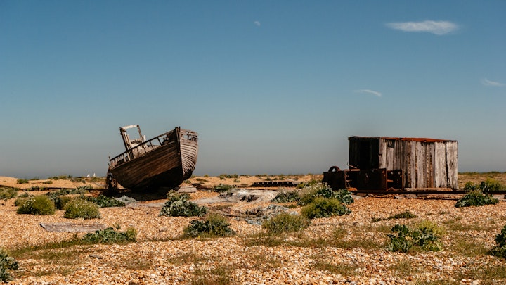 Dungeness P1040061