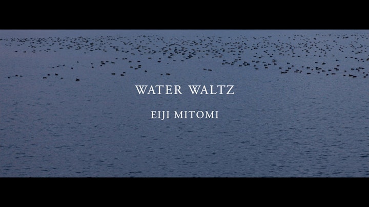 Eiji Mitomi / Water Waltz