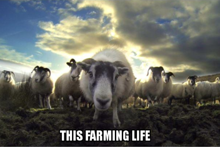 This Farming Life - Series 2 - BBC2